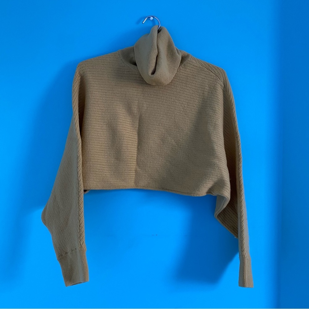 aritzia wilfred free cropped turtleneck